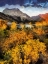 Picture of TIOGA CREST