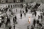 Picture of STANDING OUT IN A CROWD