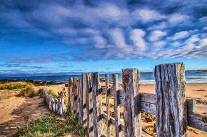 Picture of BEACH BARRIER