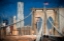 Picture of BROOKLYN BRIDGE