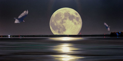 Picture of FULL MOON SETTING