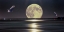 Picture of FULL MOON SETTING