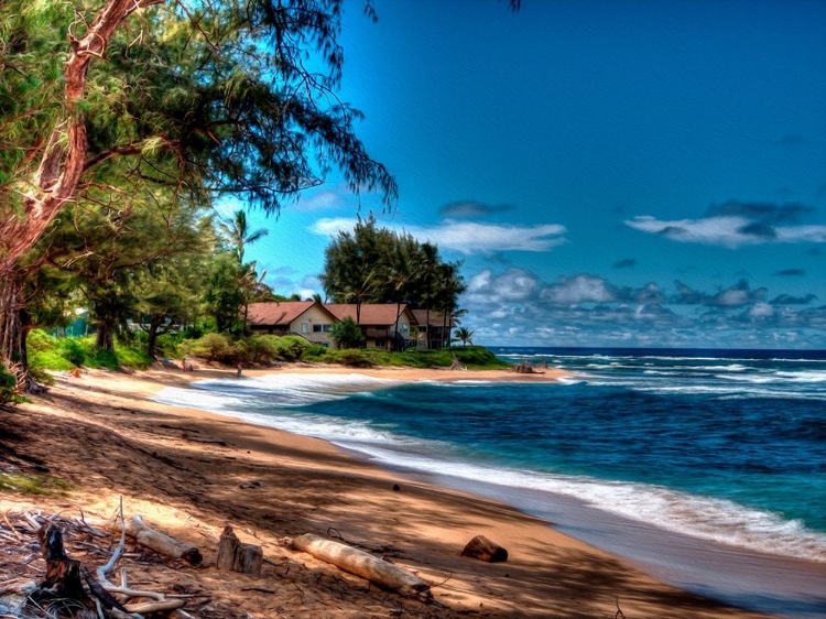 Picture of ON THE BEACH IN KAUAI