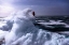 Picture of POWERFUL WAVES