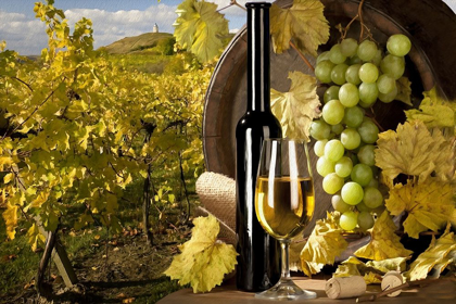 Picture of WHITE WINE AND GREEN GRAPES