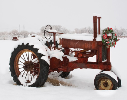 Picture of CHRISTMAS TRACTOR