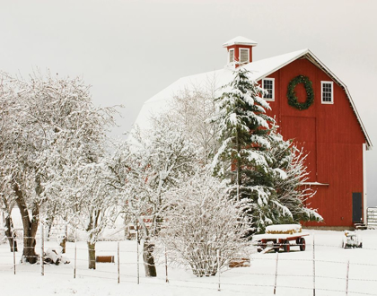 Picture of FESTIVE BARN