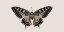 Picture of FLY WITH ME