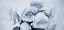 Picture of SOFT BLUE ROSE GARDEN