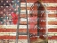 Picture of VINTAGE AMERICA