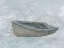 Picture of PAINTED BOAT