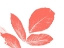 Picture of CORAL LEAVES