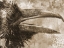 Picture of NATURAL NUTRAL