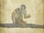 Picture of MONKEY AROUND