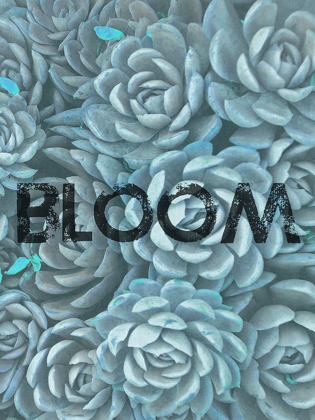 Picture of BLOOM