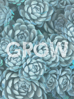 Picture of GROW