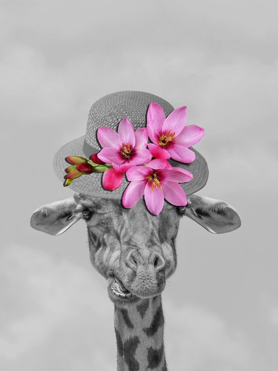 Picture of GIRAFFE FLORAL