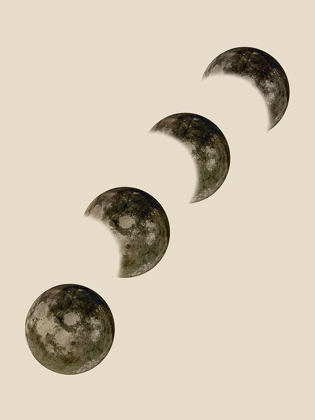 Picture of MOON PATH