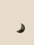 Picture of MOON