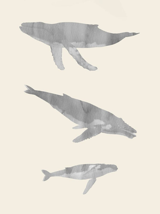 Picture of WHALE TRIO