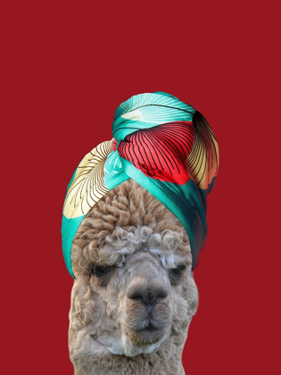 Picture of BEAUTY LLAMA