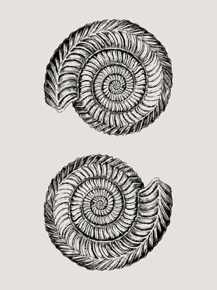 Picture of VINTAGE OCEAN