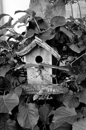 Picture of BIRD HOUSE