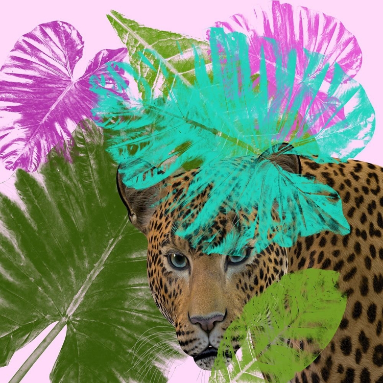 Picture of TROPICAL TASTE 3