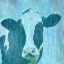 Picture of I CAN MOO