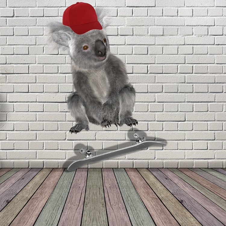 Picture of KICK FLIP KOALA