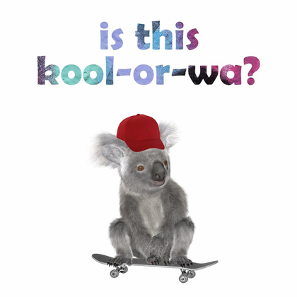 Picture of KICK FLIP KOALA 2