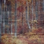 Picture of LANDSCAPE