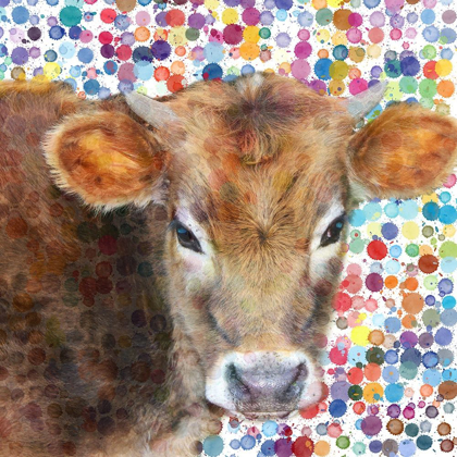 Picture of COLORS OF MOO