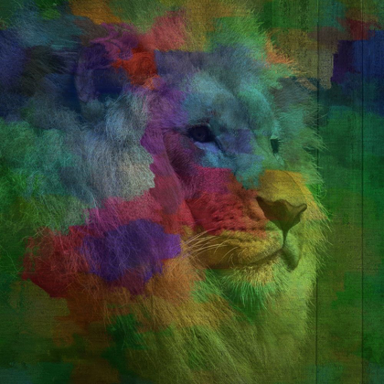 Picture of LION ROAR