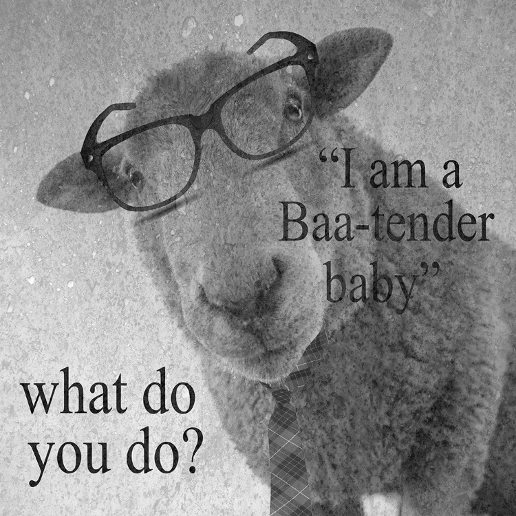 Picture of BAA-TENDER