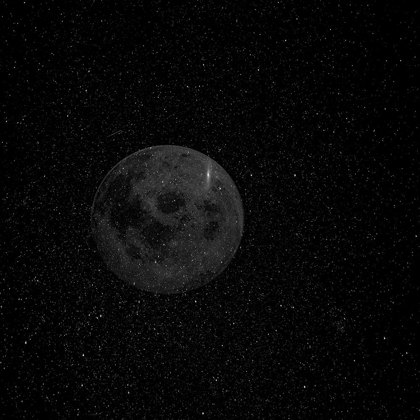 Picture of NIGHT MOON 1