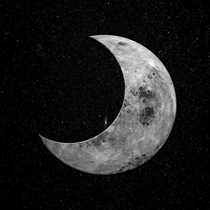 Picture of NIGHT MOON 