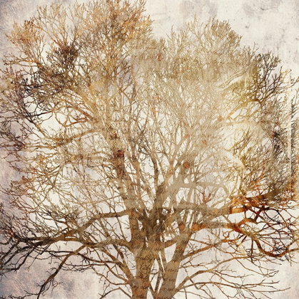 Picture of MEMORY TREE