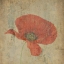 Picture of PAINTED GARDEN 2
