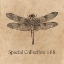 Picture of SPECIAL COLLECTION 88