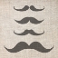 Picture of BROSTACHE 2