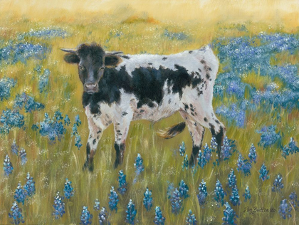 Picture of CUTIE IN THE BLUEBONNETS