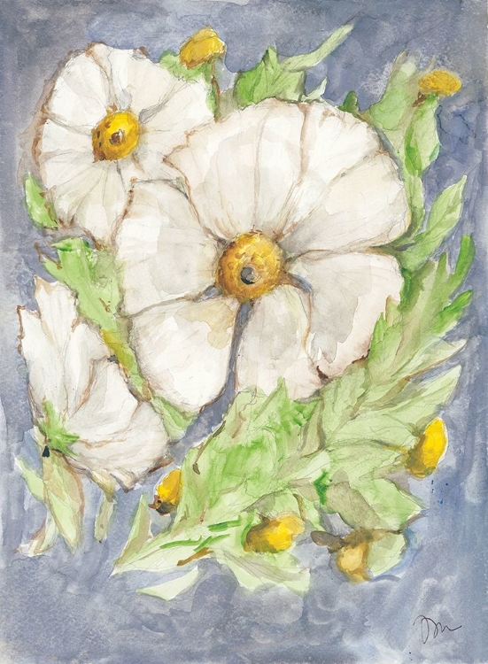 Picture of MITILIJA POPPIES