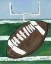 Picture of FOOTBALL