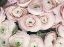 Picture of SOFT PINK RANUNCULUS