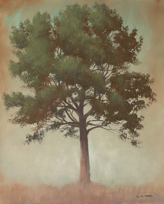 Picture of TONAL TREE