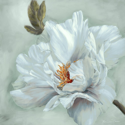 Picture of PRECIOUS PEONY II