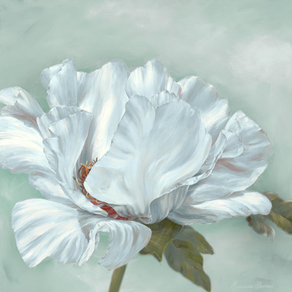 Picture of PRECIOUS PEONY II