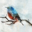 Picture of LITTLE BLUE BIRD II 