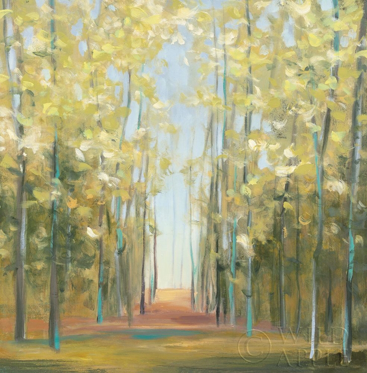 Picture of ASPEN GROVE II